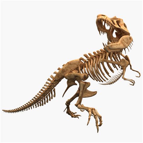3D Printable Dinosaur Skeleton