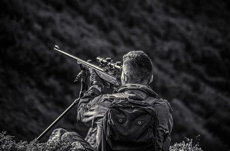 Lovci ubili više od 150 mrkih medveda početkom lovne sezone - B92