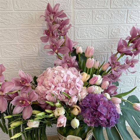 Symphony of Cymbidium – Simply Phoolish