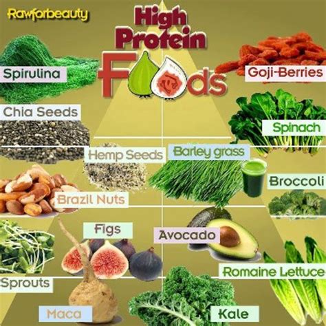 10 of the Best Vegetable Protein Sources - HubPages