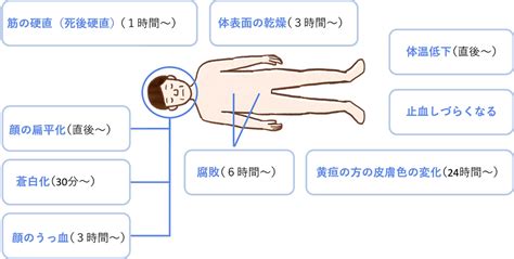 Operator Overloading Examples 的图像结果