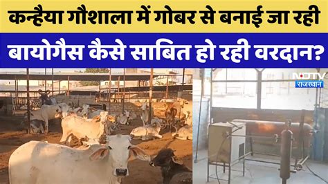 jodhpur की Kanhaiya Gaushala में गोबर से बनाई जा रही Bio Gas कैसे साबित ...
