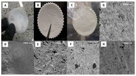 PCL/Andiroba Oil (Carapa guianensis Aubl.) Hybrid Film for Wound ...