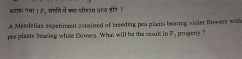 a Mendelian an experiment consists of breeding pea plant bearing violet ...