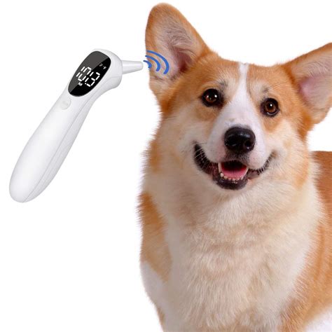 Buy [No Beep Voice Version] Cat and Dog Ear Temperature Monitor, Pet ...