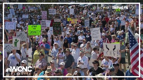 Trump, Musk protest in Charlotte draws thousands | wcnc.com