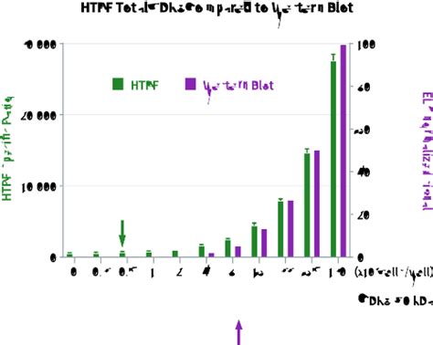 HTRF Human and Mouse Total CDK8 Detection Kit, 500 Assay Points | Revvity