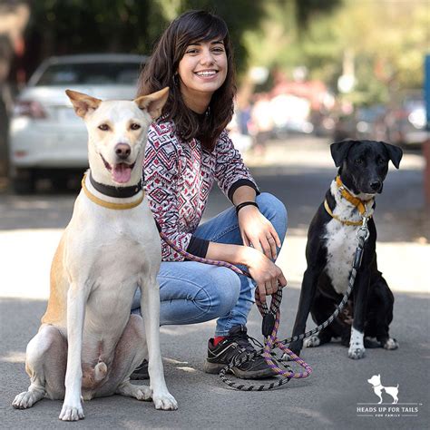 Reasons Why Every Dog Needs Training With Shirin Merchant