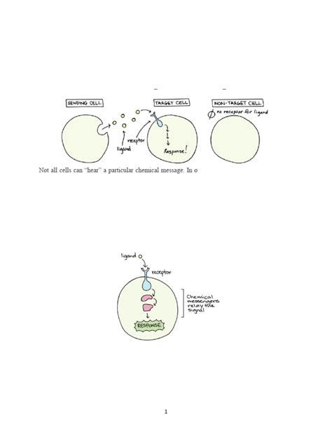 Cell Communication Concept Map 的图像结果