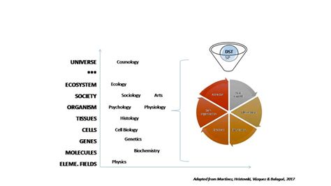 Dynamical systems theory Dynamical Systems Examples 的图像结果