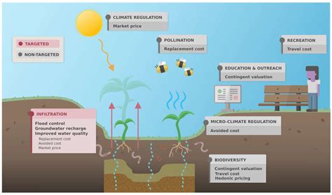 Integrating Non-Targeted Ecosystem Services into Assessment of Natural ...