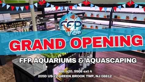 FFP Aquariums & Aquascaping GRAND OPENING!, Fitz's Fish Ponds (Green ...