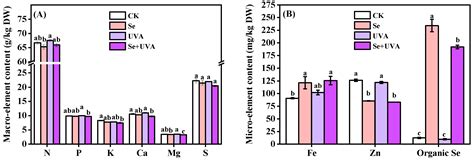 Combination of Selenium and UVA Radiation Affects Growth and ...