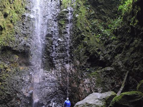 ANIMAL LIMIT ADVENTURES (2026) All You Need to Know BEFORE You Go (with ...