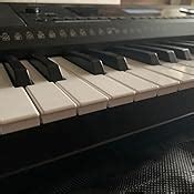 Roland EX-20 Arranger Keyboard : Amazon.in: Musical Instruments