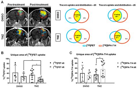 In Vivo Quantitative Imaging of Glioma Heterogeneity Employing Positron ...