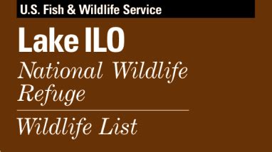 Lake Ilo Wildlife List | FWS.gov