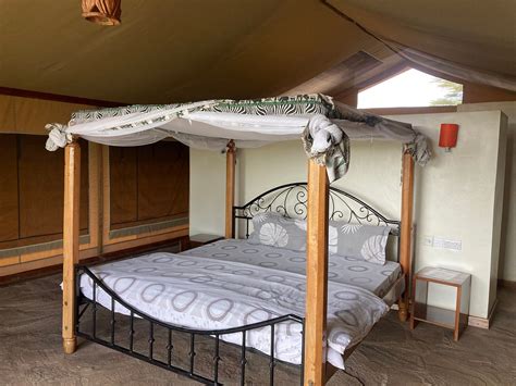 SIMBA + ORYX NATURE CAMP (Kenya/Masai Mara National Reserve ...