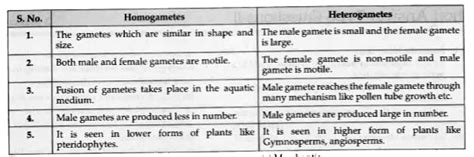 Distinguish between homogametes and heterogametes.