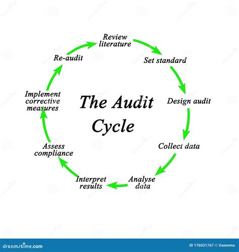 Components of Audit Cycle stock illustration. Illustration of data ...