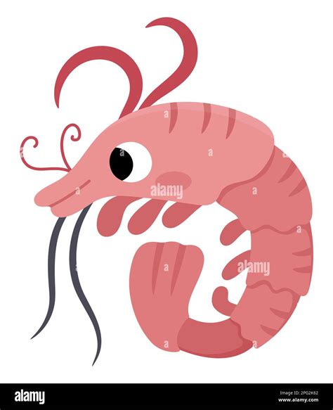 Shrimp Clip Art Shrimp Life Cycle Clipart Set Download Clipart 4
