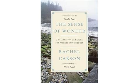 Sense of Wonder: A Celebration of Nature for Parents and Children ...