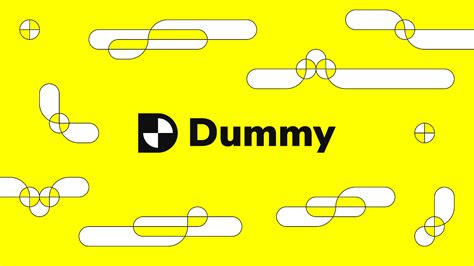 Image result for Dummy API Example
