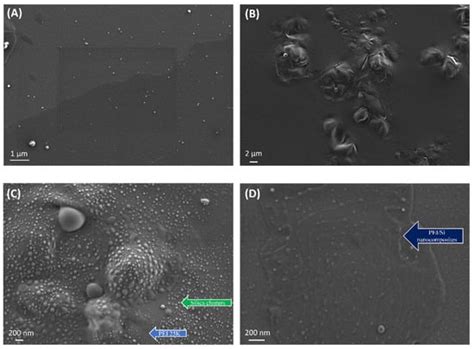 Grafting of Poly(ethylene imine) to Silica Nanoparticles for Odor ...