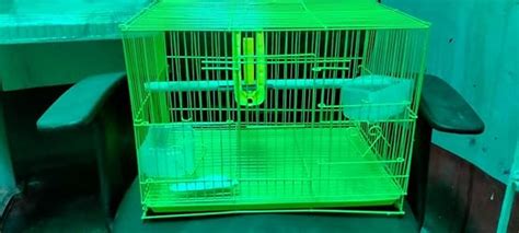 CENTRAL FISH AQUARIUM 15'Bird cage for Budgies,Finches,Love Birds ...