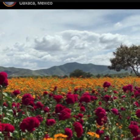 The Original Rider Waite Tarot Pack [Cards] Waite, A.E. and Colman ...