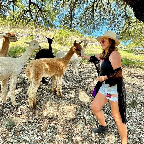 TIERRA PROMETICA ALPACAS (2025) All You Need to Know BEFORE You Go ...
