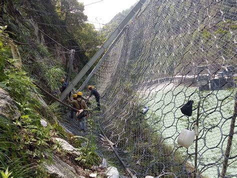 Specialized Services