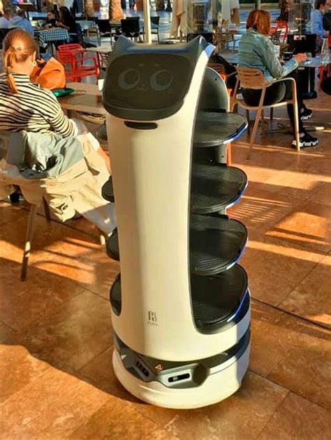 BellaBot Robot in India – The Future of AI-Powered Hospitality - Rife ...