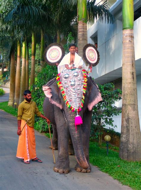 Adventure of a different kind in kerala, southern india with # ...