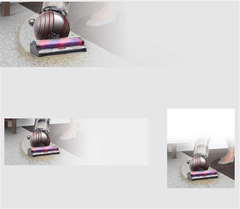 Dyson Ball™ Animal Origin (Nickel/Silver)