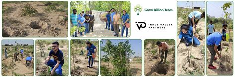 Celebrating Environment Day: IVP Employees Take Root in Sustainability ...