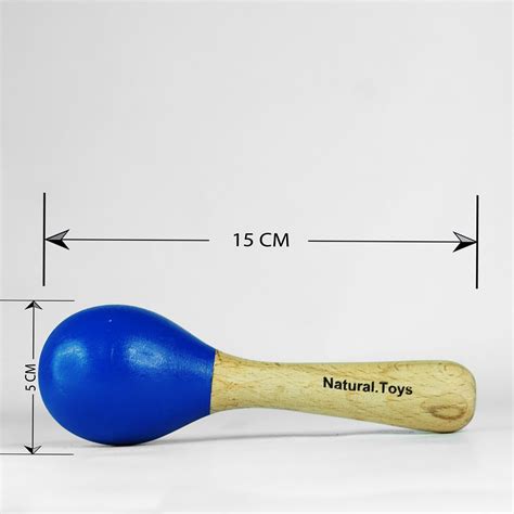 Buy Wooden Toys Combo Gift Kit for 6 Month+ | 1 Wooden Push Pull Toy ...