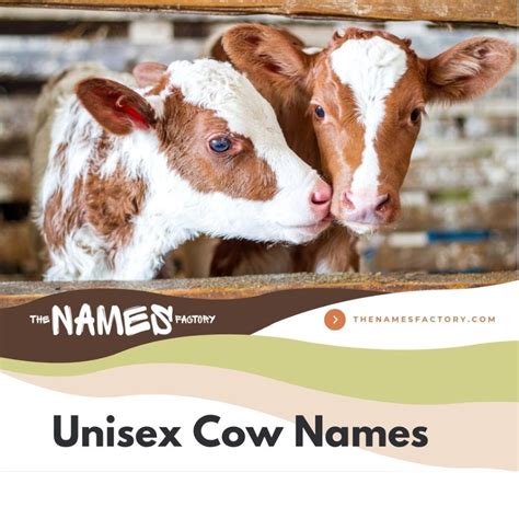 330+ Perfect Cow Names for Your Bovines