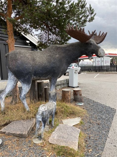 Geocacher of the Week: Misa80 – A Journey of Resilience and GPS