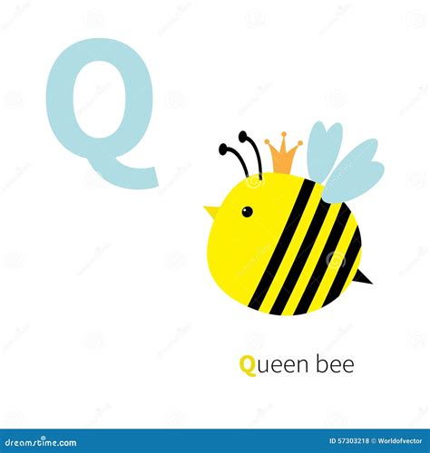 Letter Q Queen Bee Zoo Alphabet. English Abc with Animals Education ...
