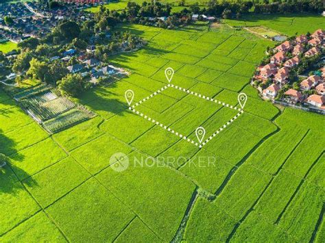 SRR Temple Bells in Rajarajeshwari Nagar, Bangalore- Reviews, Photos ...