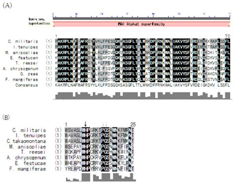 Image result for Conserved Sequence