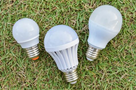 Type B Bulbs Exposed: What’s Behind the Glow? - LampHQ