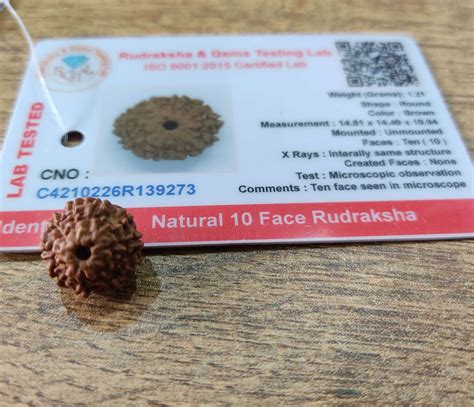 10 Mukhi Certified Rudraksh (Indonesian Java) original bead ...