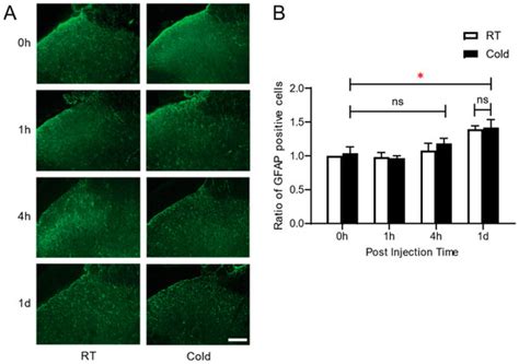 Effects of Repeated Exposure to Ambient Cold on the Development of ...