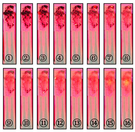 Research on the Measurement of Particulate Matter Concentration in ...