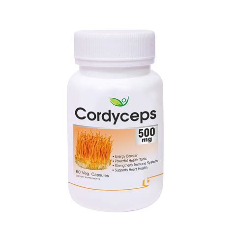 Biotrex Nutraceuticals Cordyceps 500mg - 60 Veg Capsule, Dietary ...