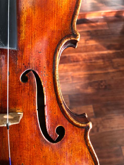 Image result for Italian String Instruments