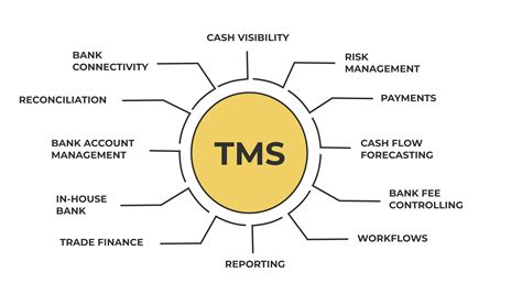 What Is Treasury Management