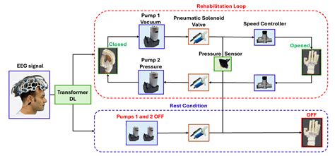 NeuroFlex: Feasibility of EEG-Based Motor Imagery Control of a Soft ...